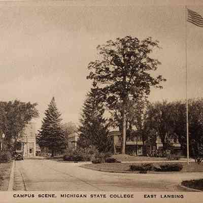 Campus Scene, Michigan State College, East Lansing, Postcard