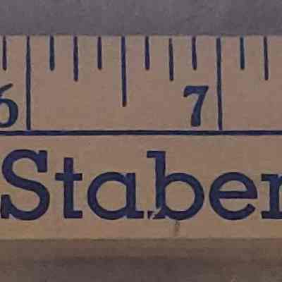 Debbie Stabenow Tri-Fold Yard Stick