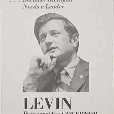 Levin Democrat for Governor Flier