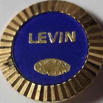 Levin AFL-CIO Pin