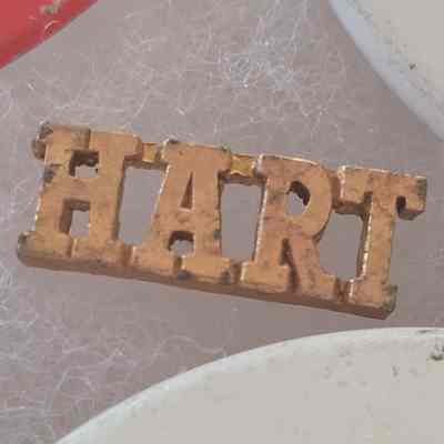 Hart Pin