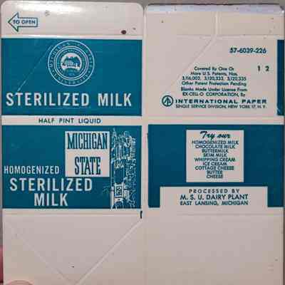 Michigan State Sterilized Milk Half Pint Carton