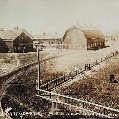 Dairy Barns, M.A.C., East Lansing, Mich. RPPC
