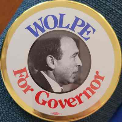 Wolpe for Governor Picture Button