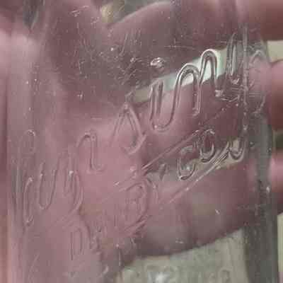 Lansing Dairy Co. Embossed Half Pint Bottle