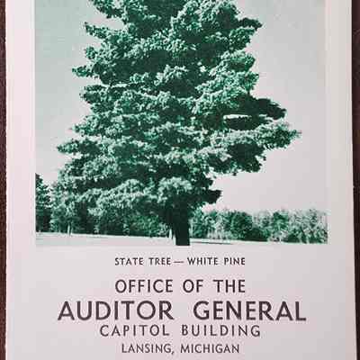 Auditor General Pamphlet