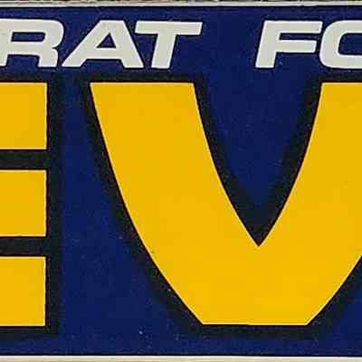 Levin Senate Bumper Sticker