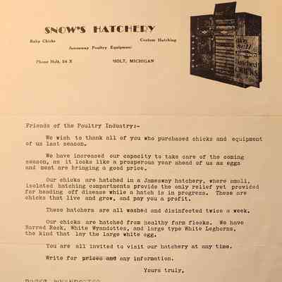 Snow's Hatchery, Holt, Michigan, Advertising Letter
