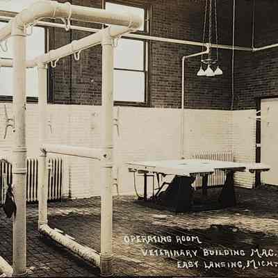 Operating Room, Veterinary Building, M.A.C., RPPC