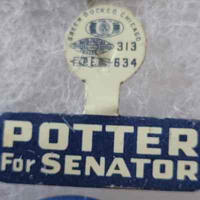 Potter for Senator Tab