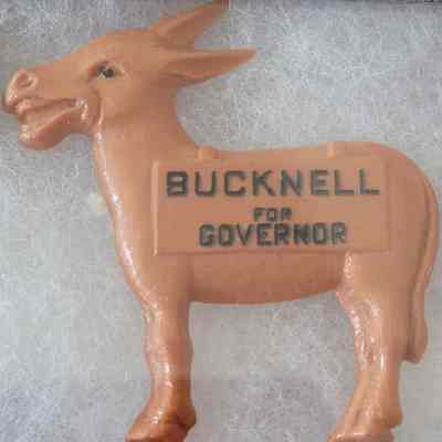 Bucknell for Governor Donkey Pin
