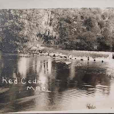 Red Cedar, M.A.C., RPPC