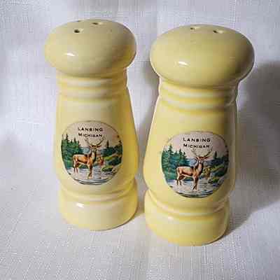 Lansing, Michigan, Ceramic Souvenir Salt and Pepper Shakers