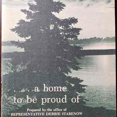 Michigan... a home to be proud of, Stabenow
