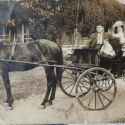 Family Portrait on Horse Carriage RPPC