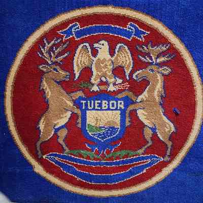 Michigan House Chamber Carpet Square