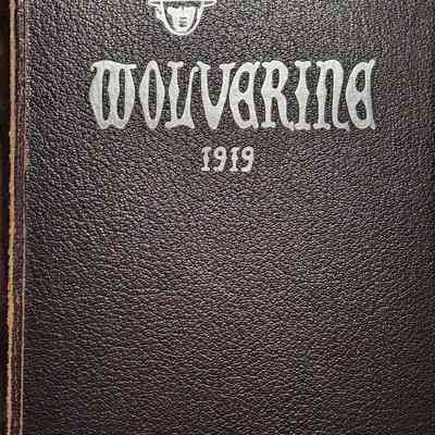 Wolverine 1919