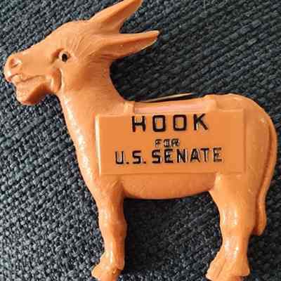 Hook for U.S. Senate Donkey Pin