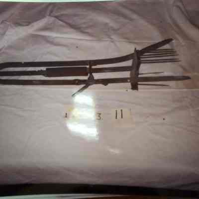 Mole Trap