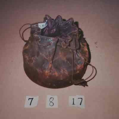 Collar Carrying Case