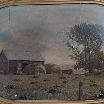 Farm on Wagner Road