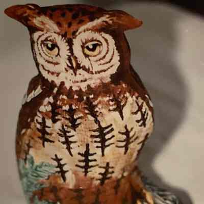 Kennicott Owl