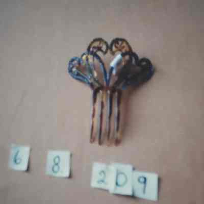 Bone Comb