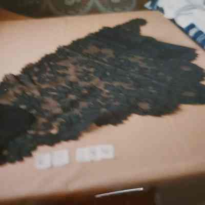 Black Lace Mantilla (Scarf) with Couching Outlining the Large Floral/Vine Design