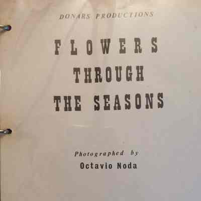 Flowers Through the Seasons Photographed by Octavio Noda