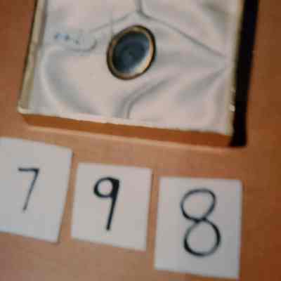 Oval Picture Campaign Pin with a Picture of Steven A. Douglas