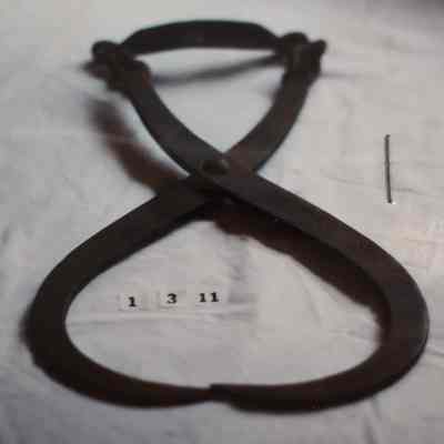 Ice Tongs