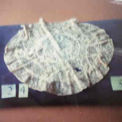 Doily
