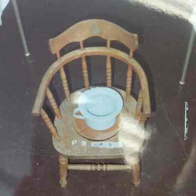 Child's Potty Chair
