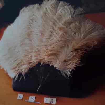White (Faded Pink) Ostrich Feather and Tortoiseshell Fan