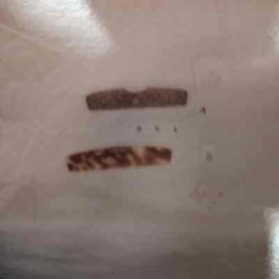 Comb with case - grooming article