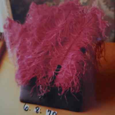 Bright Rose - Red Ostrich - Tortoise Fan