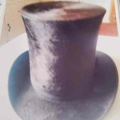 Beaver Top Hat
