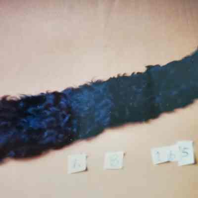 Black Fur Collar (Goat Skin Paws)