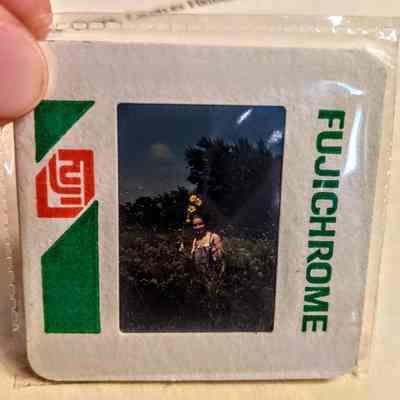 Nature Photograph Slides