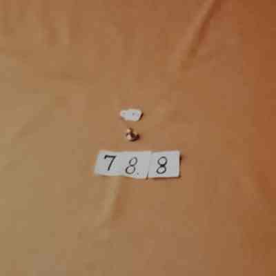 Copper Collar Stud