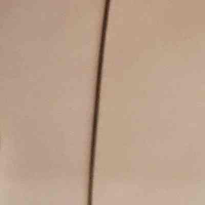 Small Gold 10K Plated on Metal Head of Lady's Hat Pin