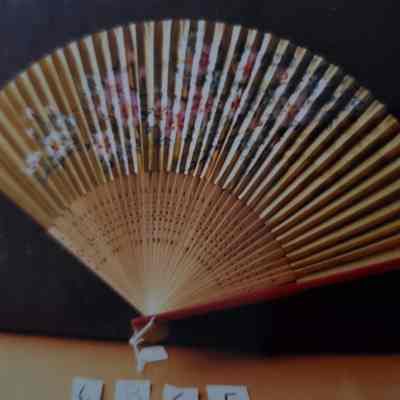 Painted Paper Fan