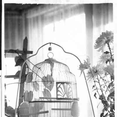 PH-1203h-Mother Fannie's birdcage