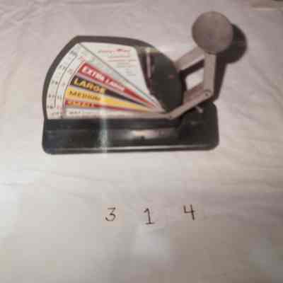Egg Scale