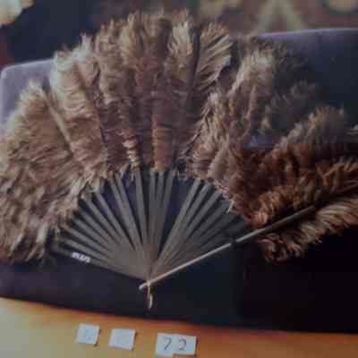 Grey Emu Feather Fan