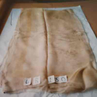 Sheer Organdy Pale Fawn/Peach with Hand Stencil Faint Designs of Daisy Flowers