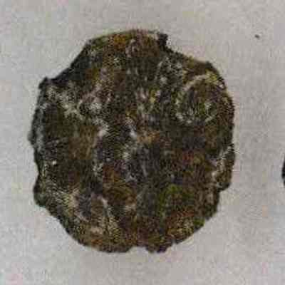 #20 9th Battalion Cavalry Coat Button