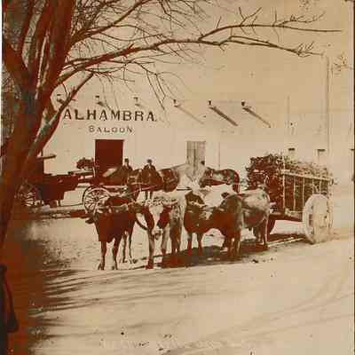 Alhambra Saloon [Photograph]