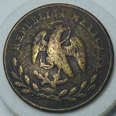 Mexican Button