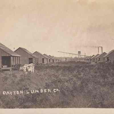 Dayton Lumber Company [Postcard]